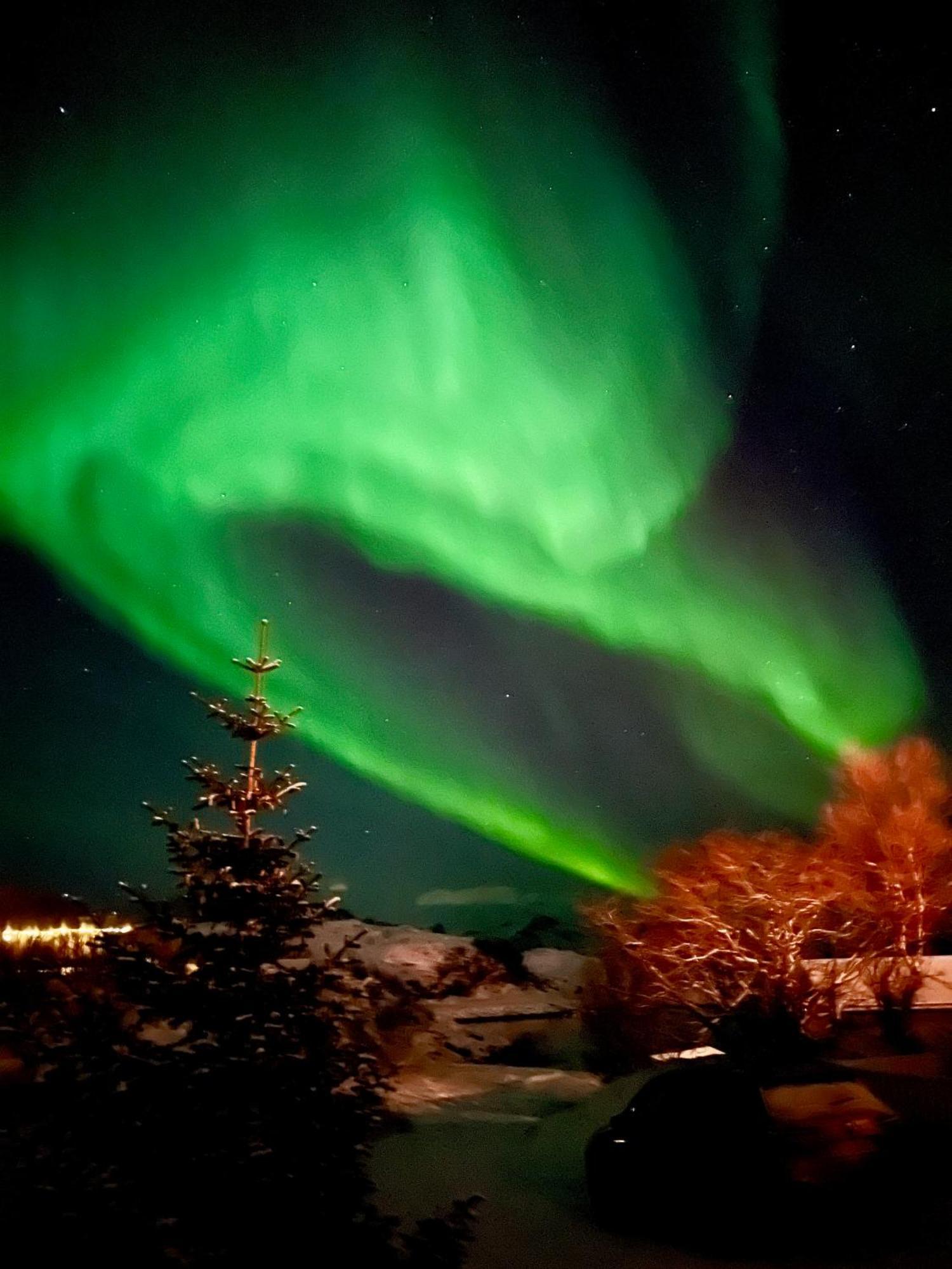 Brensholmen Beach House Tromsø Eksteriør bilde